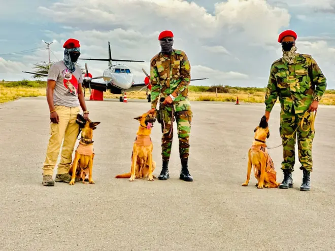 Eeyaha ay keensatay Somaliland