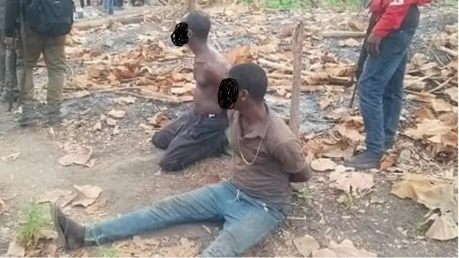 Awon Olokoowo igbo meji