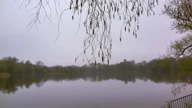 Mr Buckel's remains were found in Prospect Park in Brooklyn