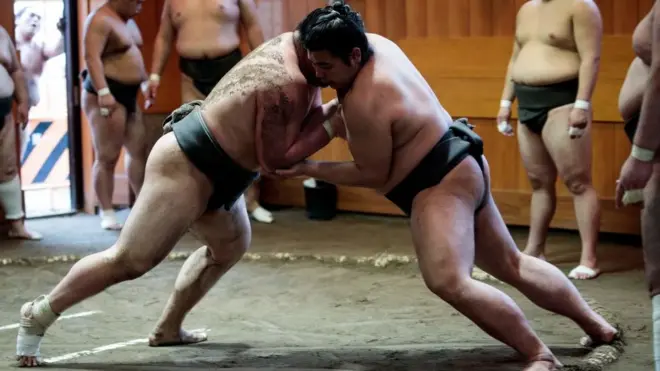 File photo of sumo wrestlers