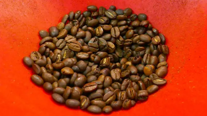 Graines de café d'Indonésie.