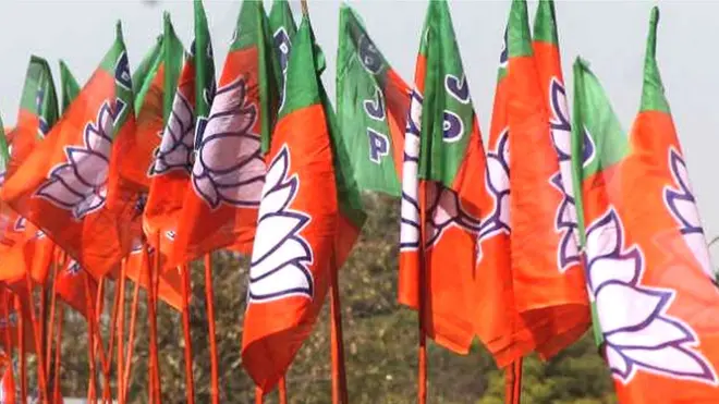 भाजपा के झंडे