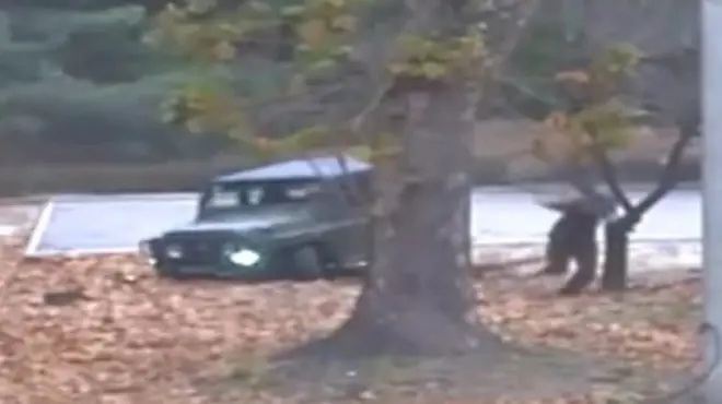 '그 머리 돈 주고 잘랐니?'