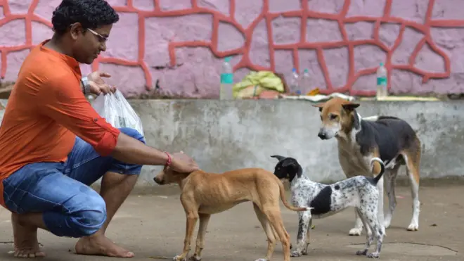 man with pets