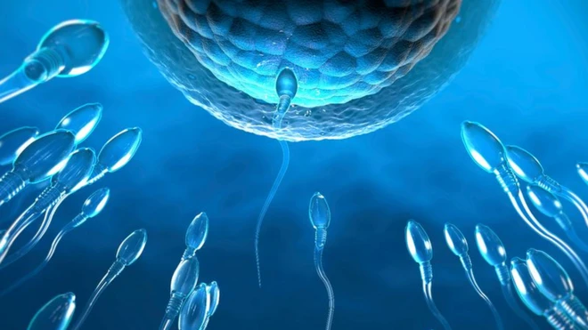 กราฟิกสเปิร์มสีฟ้า