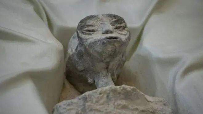 Reeffa qaamolee waliin isaanii adda hin baafamne