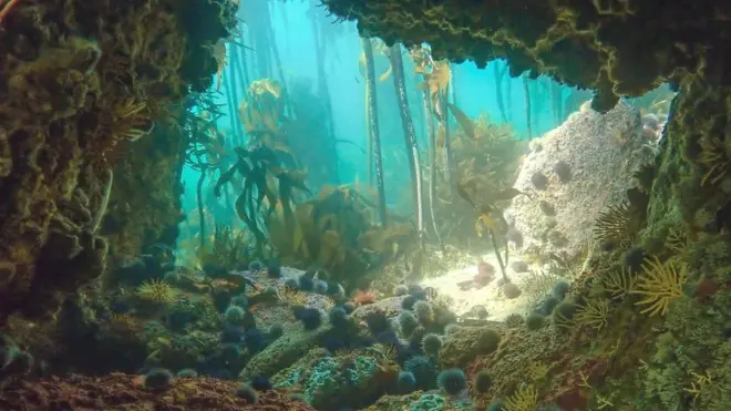 زیرِ آب مراقبہ