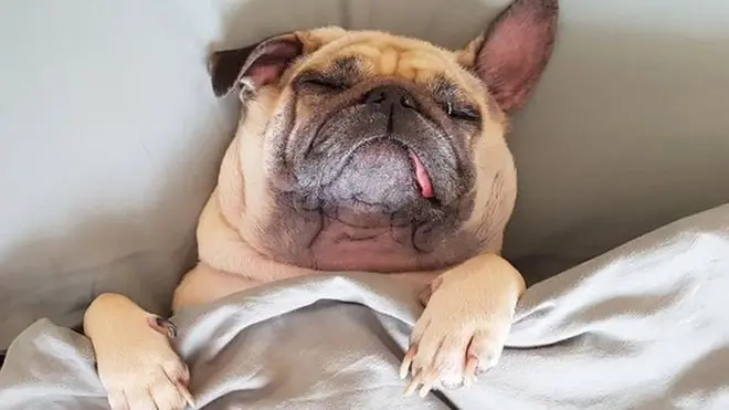 （Credit: Getty Images）