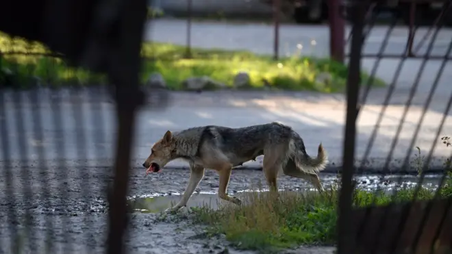 Дело было возбуждено хабаровскими полицейскими
