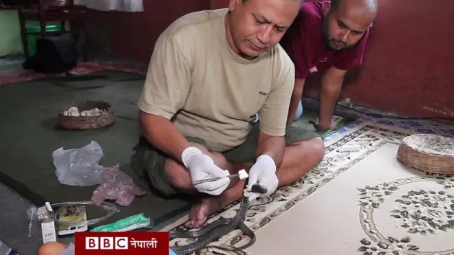 महेन्द्र कतिला