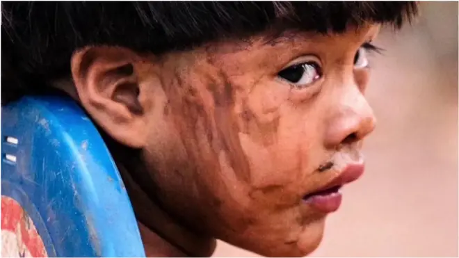 інтернет у джунглях