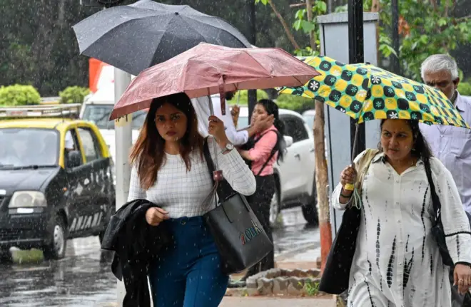 राज्यात अनेक जिल्ह्यात सुट्टी जाहीर, पावसाचे अलर्ट काय असतात?