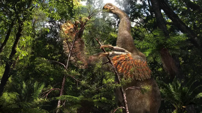 Duonychus tsogtbaatari 