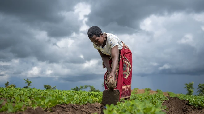 Umugore w'umurimyi muri Malawi afashwe mu mugongo na UN Women
