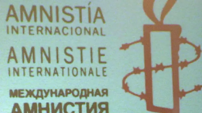 Организация Amnesty International была основана в 1961 году в Британии, ее главной целью является привлечение внимания к нарушениям прав человека и к соблюдению международных стандартов