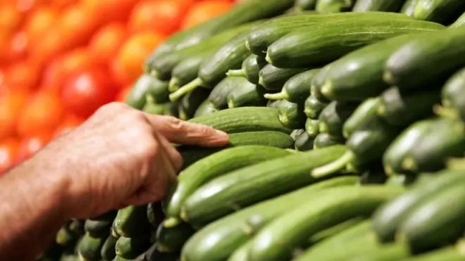 sebze, domates, salatalık