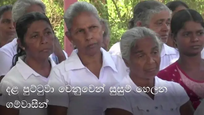 දළ පුට්ටුවා