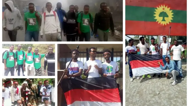 Dargaggoota imalarra jiran