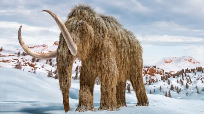 विलुप्त हो चुकी प्रजाति