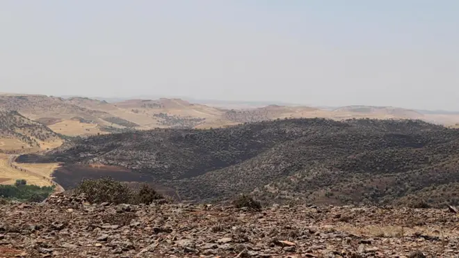 yangın 