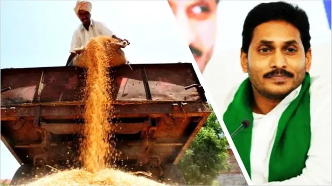 వరిధాన్యం, వైఎస్ జగన్