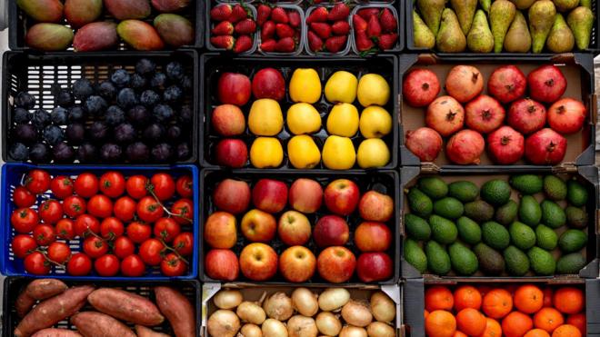 frutas e verduras coloridasapostas ufc como funcionacaixas