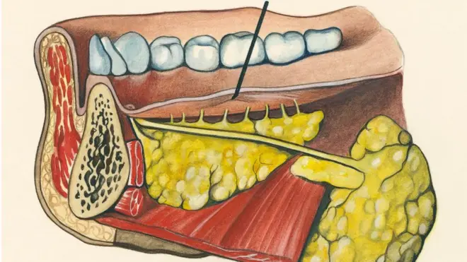 Eserese na-egosi eze nakwa akpa asọmmiri