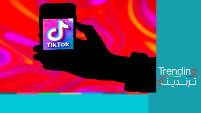 منصة تيك توك