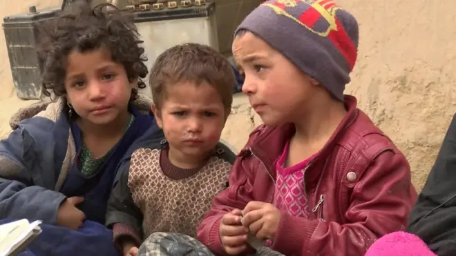 तालिबान