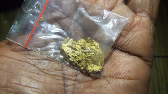 Kepingan emas yang didulang di Sungai Deiram Hitam, pedalaman Papua.