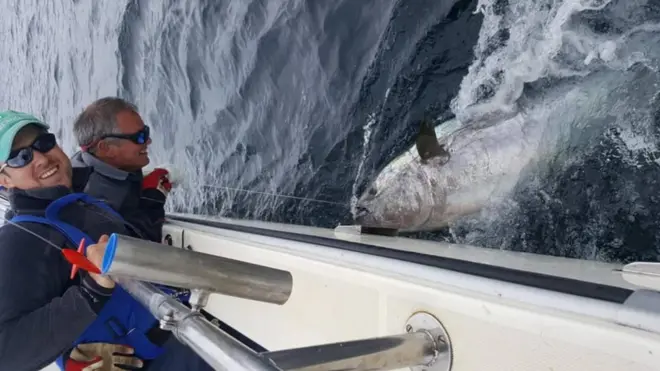 David Edwards catch Bluefin tuna for Sea