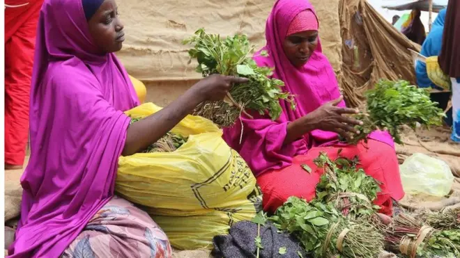 Haween qaaad ku iibinya magaalada Muqdisho