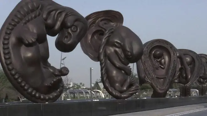 تماثيل تطور الجنين للفنان داميين هيرست في قطر