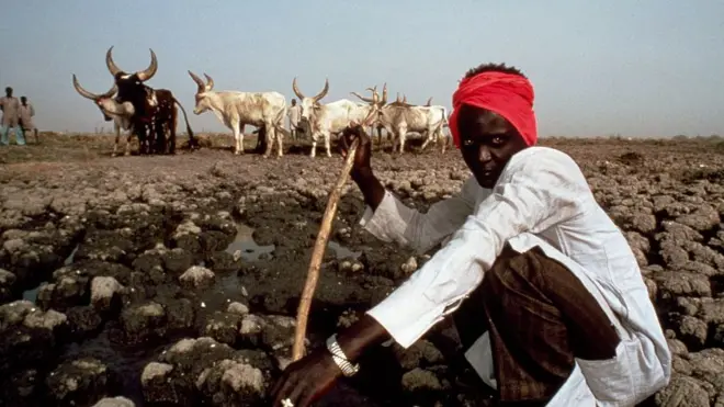 Les autorités sont intervenues, réunissant éleveurs et agriculteurs pour une tentative de réconciliation.