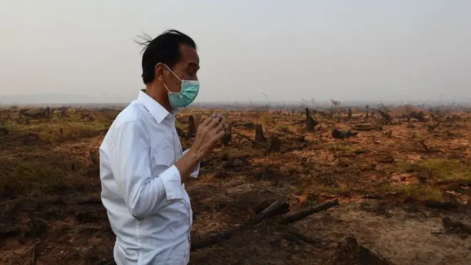Presiden Joko Widodo mengunjungi lokasi kebakaran hutan dan lahan di Banjar Baru, Kalimantan Selatan, pada September 2015.