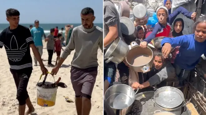 Nestašica hrane u Gazi