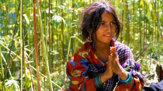 हिमाचल प्रदेश का मलाना गांव