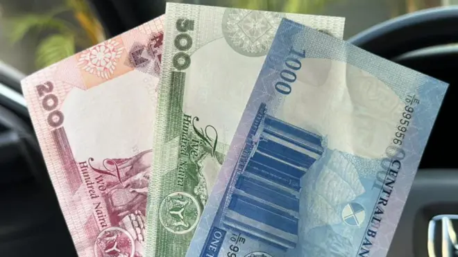 New Naira Notes