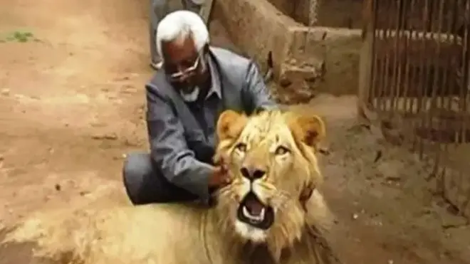 Cali Warancade iyo libaaxiisa