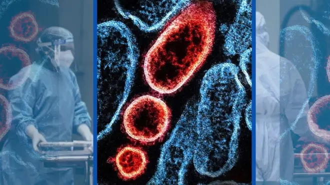 An illustration of the Nipah virus and two medical workers in protective gear on each side of the graphics