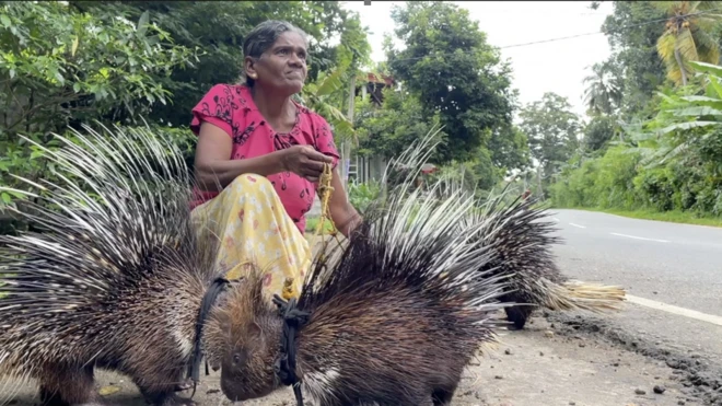श्रीलंका