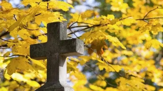 પ્રતિકાત્મક તસ્વીર