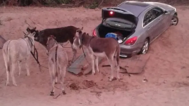 جنوبی افریقہ پولیس سروس