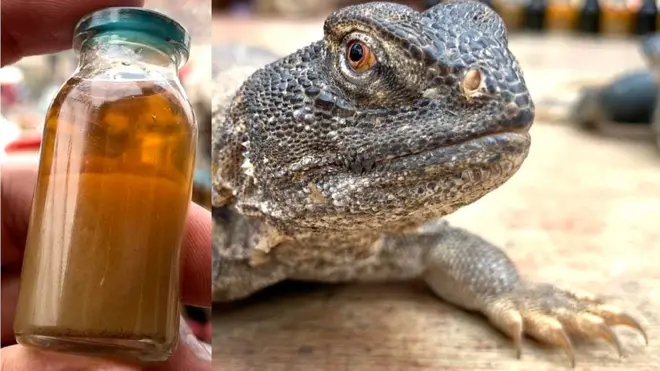 سانڈھے کا تیل