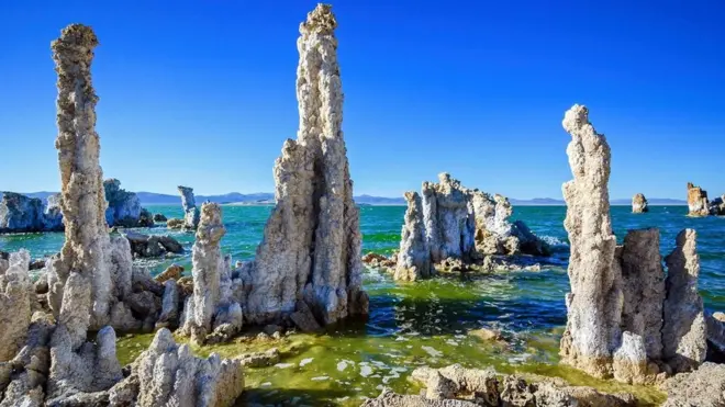 （圖片來源: Zack Frank）