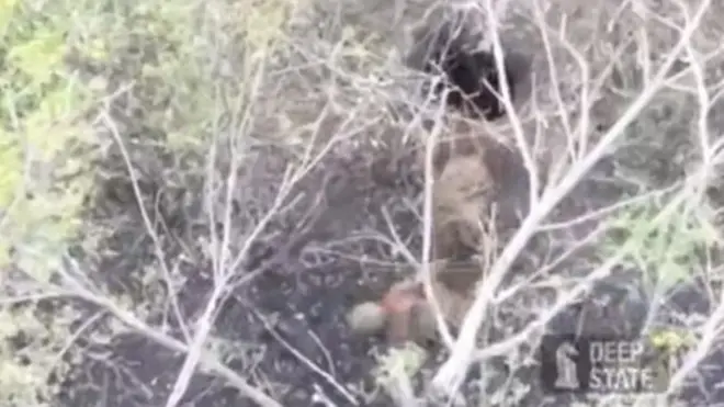 Зйомка з дрона - через дерева видно, як з отвору у землі виліз військовий 