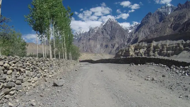 （圖片來源：Vanessa Nirode）