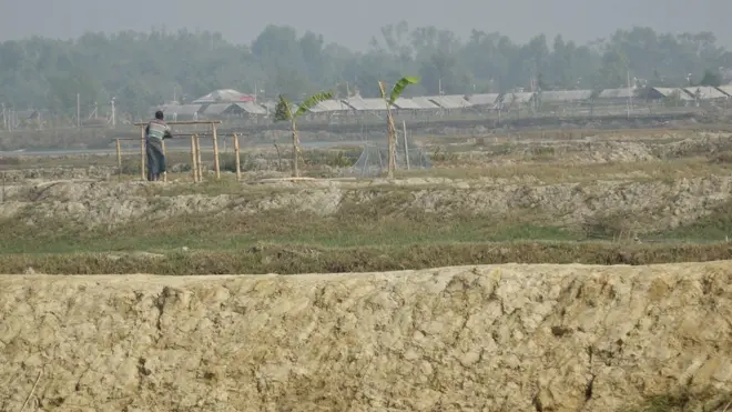  উপকূলীয় এলাকার মাটি