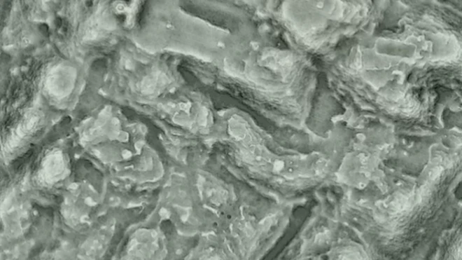 ภาพจากการสแกนด้วยแสงเลเซอร์ แสดงให้เห็นมุมหนึ่งของเมืองโบราณอันกามูโค ทางภาคตะวันตกของเม็กซิโก