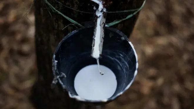 प्राकृतिक रबड़